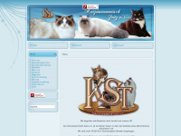 kst-zeitz-ev.de Webseite Vorschau