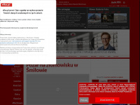 elka.pl Webseite Vorschau