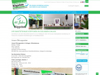sanitaetshaus-koeppchen.de Webseite Vorschau