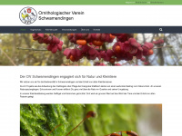 o-v-s.ch Webseite Vorschau