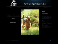 borzfoto.hu Webseite Vorschau
