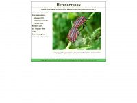 heteropteron.de Webseite Vorschau
