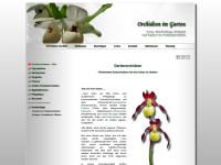 orchideen-im-garten.de Webseite Vorschau