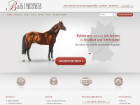bahlmann-konzepte.de Webseite Vorschau