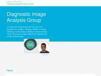 diagnijmegen.nl Webseite Vorschau