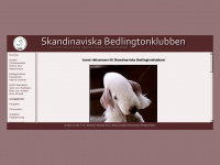 skbk.se Webseite Vorschau