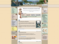 icolumbo.de Webseite Vorschau