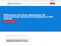 hausteinconsulting.com Webseite Vorschau