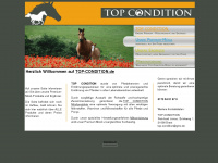 top-condition.de Webseite Vorschau