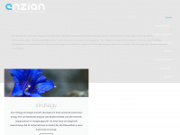enzian-web.de Webseite Vorschau
