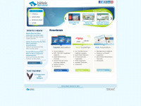 birtek.com.tr Webseite Vorschau