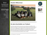 freibach.ch Webseite Vorschau