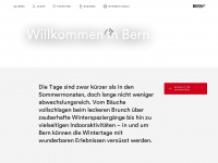 bern.com Webseite Vorschau