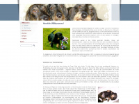 dachshunde.com Webseite Vorschau