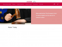 asser.nl Webseite Vorschau