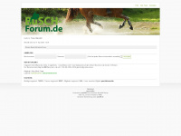 busch-forum.de Webseite Vorschau