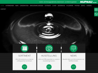 nupnau-gmbh.de Webseite Vorschau
