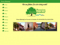 pension-robinienhof.de Webseite Vorschau