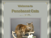penobscotcats.at Webseite Vorschau