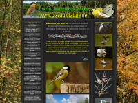 oiseaux-faune.net Webseite Vorschau