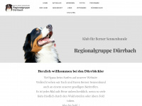 duerrbach.ch Webseite Vorschau