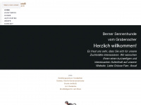 bernersennen-hund.ch Webseite Vorschau