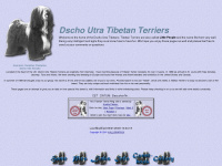 tibetanterriers.de Webseite Vorschau