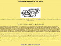 paleocene-mammals.de Webseite Vorschau