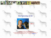kieler-hundecollege.de Webseite Vorschau