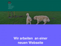 kraftberger.de Webseite Vorschau