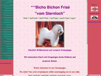 sternloch-bichons.de Webseite Vorschau