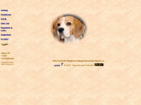 beagles-von-der-looperin.de Webseite Vorschau