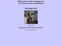 deutsche-dogge-yassim.de Webseite Vorschau