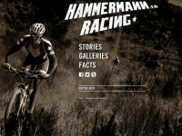 hammermann.ch Webseite Vorschau
