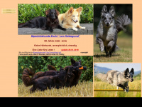 alpenhuetehunde.de Webseite Vorschau