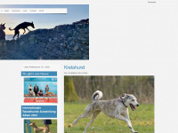 kretahund.de Webseite Vorschau