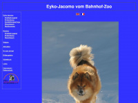 eyko-jacomo.de Webseite Vorschau