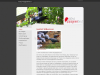 papageienbrut.de Webseite Vorschau
