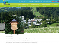camping-steingrubenhof.de Webseite Vorschau