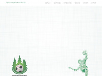fussballschule-vogtland.de Webseite Vorschau