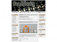 budbrain.de Webseite Vorschau