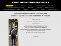 kk-sachsenwald.de Webseite Vorschau