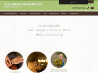heilkunde-ayurveda.de Webseite Vorschau