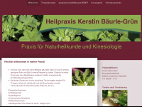 heilpraxis-kbg.de Webseite Vorschau