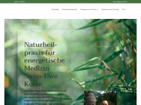 naturheilpraxis-kotte.de Webseite Vorschau