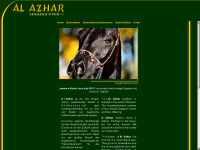 alazhar.de Thumbnail