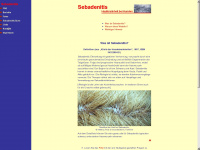 sebadenitis.de Webseite Vorschau