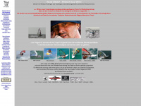 windsurf-scout.de Webseite Vorschau