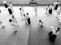 aikido-freiburg.de Webseite Vorschau