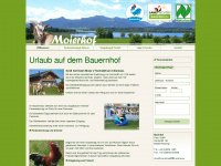 moierhof-rimsting.de Webseite Vorschau